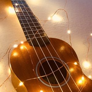 Meet your Posher, Ellie